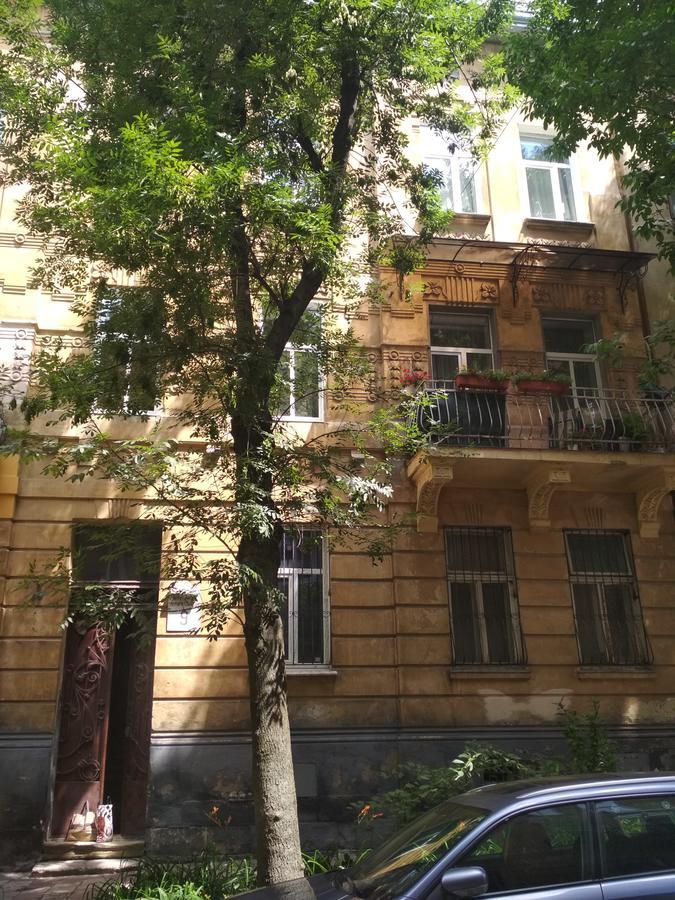 Cosy flat Lviv Exterior foto